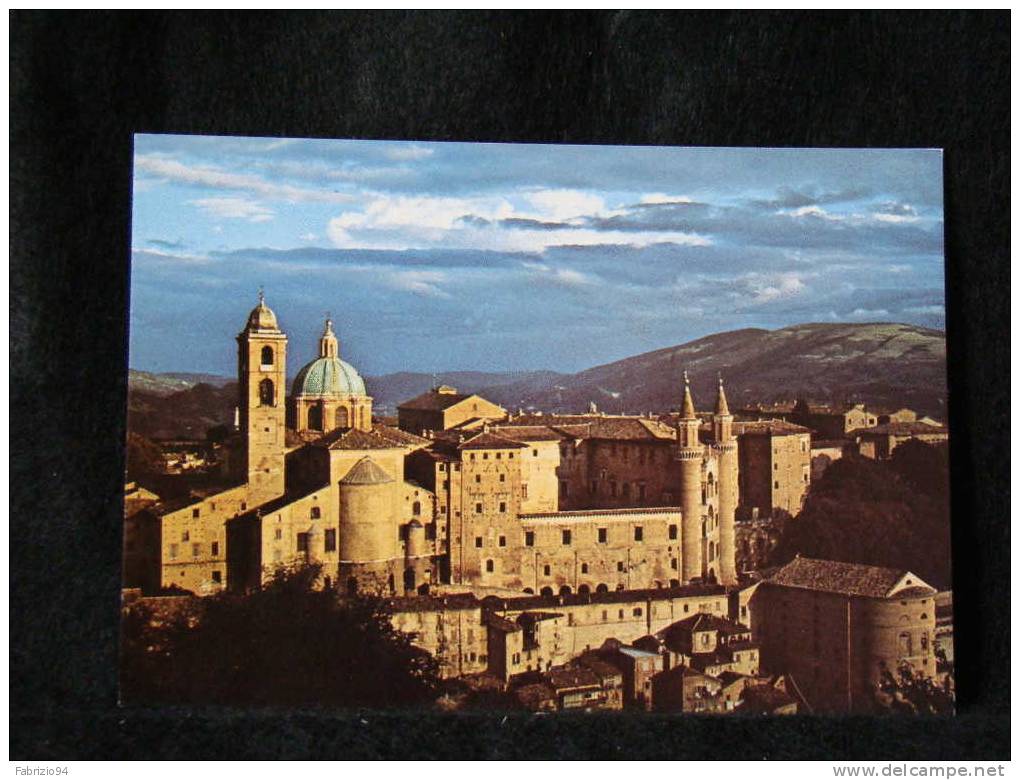 URBINO    FG - Urbino