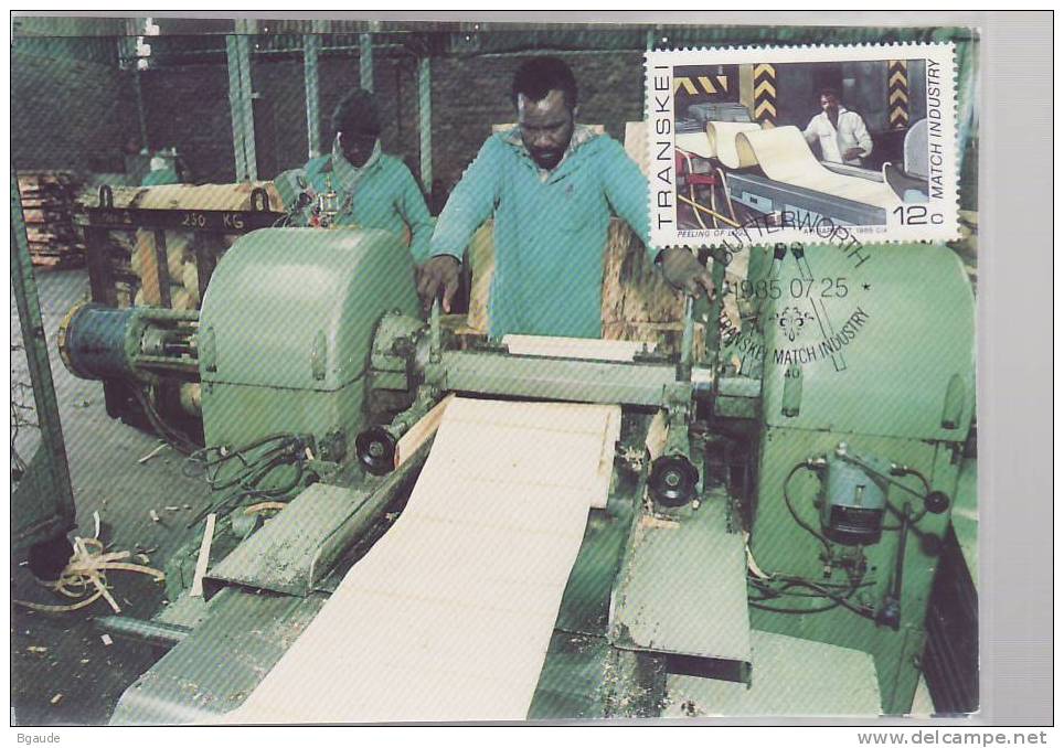 TRANSKEI  CARTE MAXIMUM NUM.YVERT 173 INDUSTRIE LA FABRICATION DES ALLUMETTES - Transkei