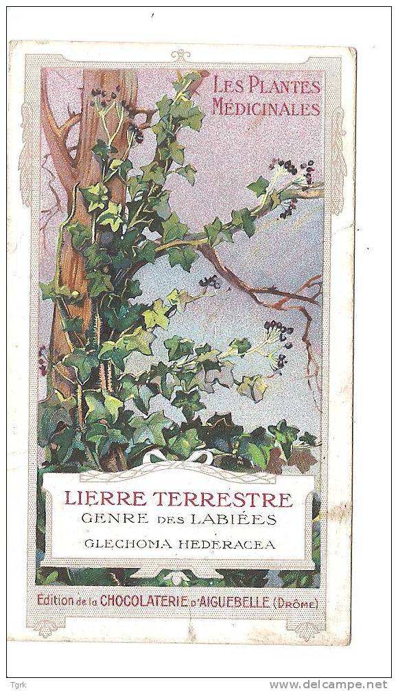 - Chromo Chocolaterie Aiguebelle Les Plantes Médicinales Lierre Terrestre Genre Des Labiées Glechoma Hederacea - Aiguebelle