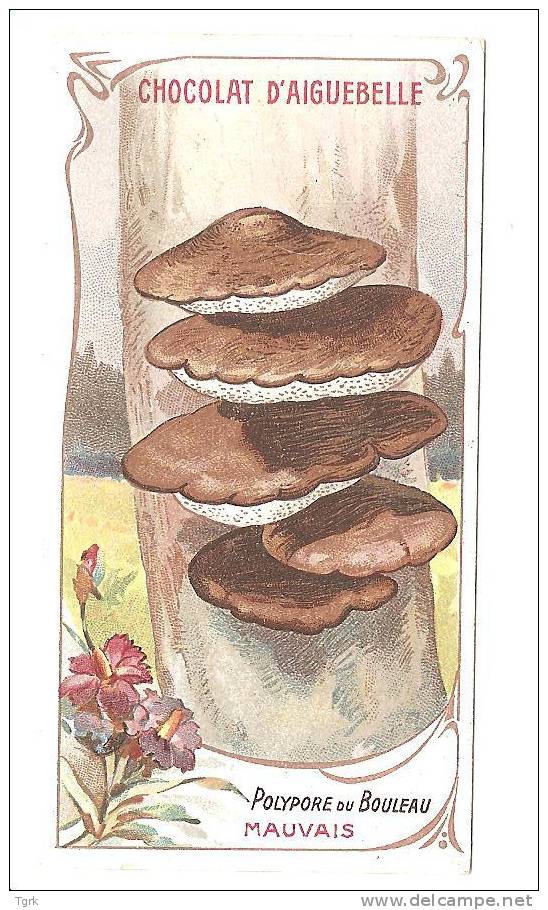 - Chromo Chocolaterie Aiguebelle Les Champignons Polypore Du Bouleau - Aiguebelle