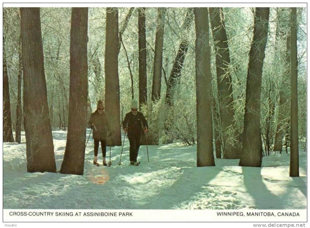 Canada - Winnipeg Manitoba - Cross-country Skiing At Assiniboine Park 1983 - Winnipeg