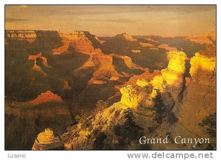 Grand Canyon, Arizona - Near Yaki Point - Grand Canyon