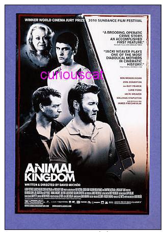 MOVIE FILM ADVERTISMENT POSTER POSTCARD FOR THE FILM  ANIMAL KINGDOM - Afiches En Tarjetas