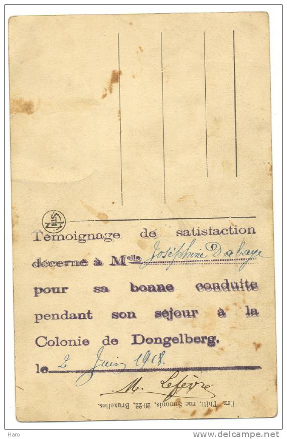 DONGELBERG - Le Château  - Carte Avec Au Dos Un Certificat De Bonne Conduite - Colonie  (Y95)b42 - Jodoigne