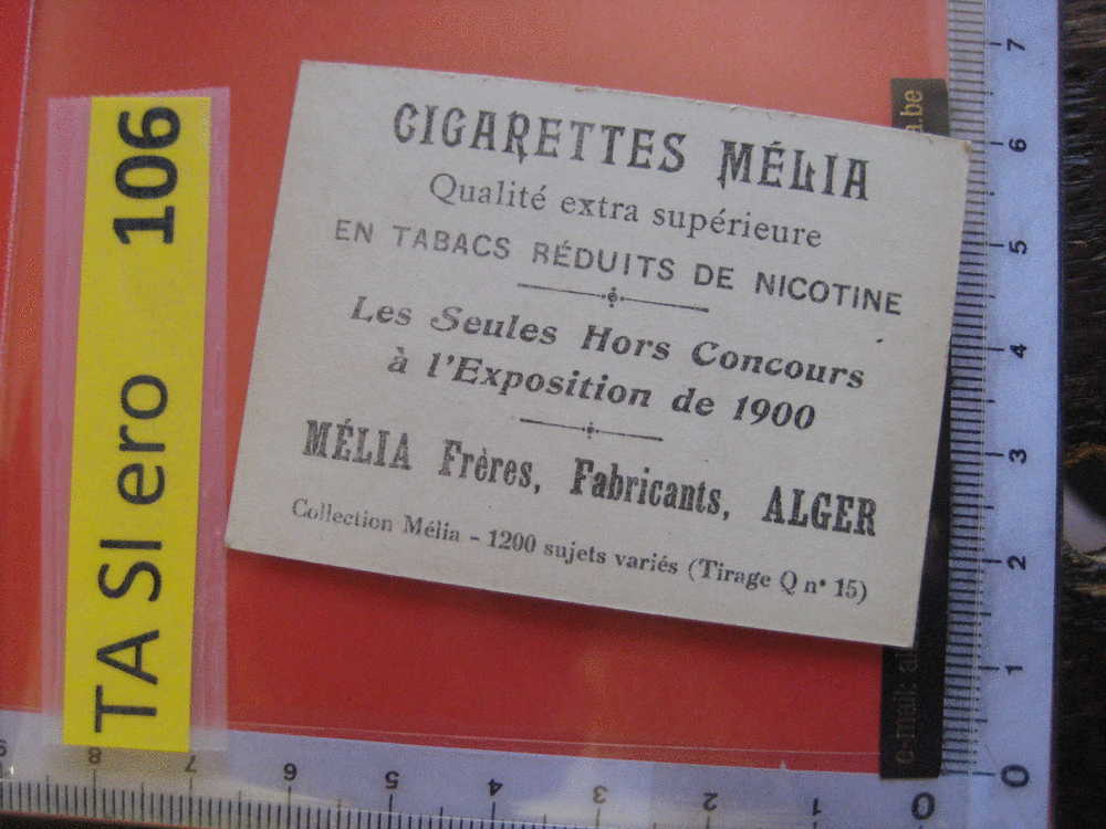 ALICE  -  Mélia  Erotic EROTIQUE Carte REAL PHOTO  Tobacco Card  ALGER Risqué Nu Naked - Autres Marques