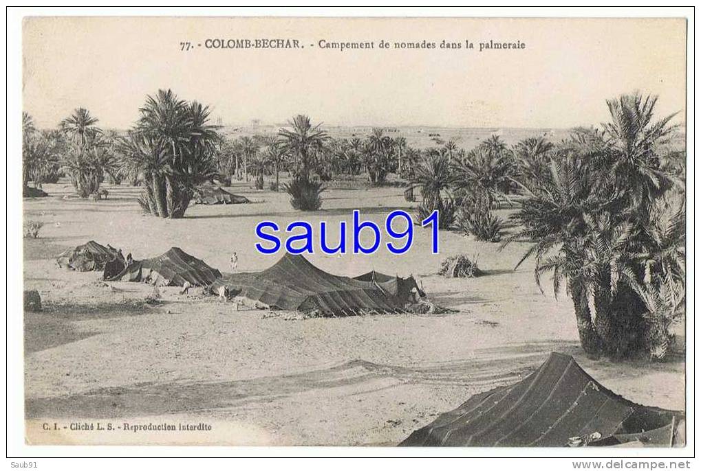 Colomb Béchar-  Campement De Nomades Dans La Palmeraie - N°77 - Circulé  En 1916  -Réf:9136 - Bechar (Colomb Béchar)