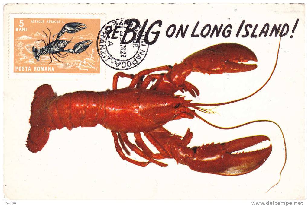 Crab,Cancer 1978 Carte Maximum Maxicard Romania - Crustaceans