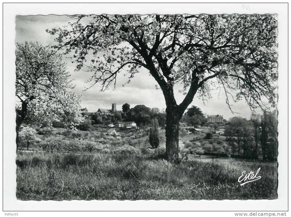 NEAUPHLE LE CHATEAU - La Campagne - Neauphle Le Chateau