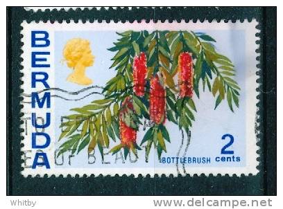 1970 Bermuda 2c Bottlebrush Plant Issue #256 - Bermuda
