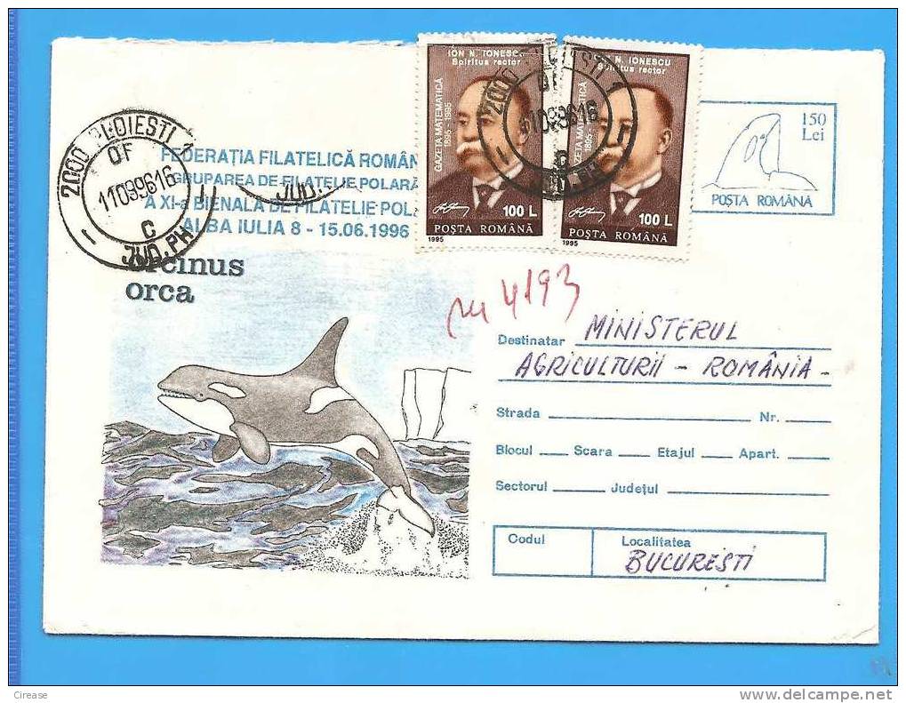 Romania 1996 Postal Stationery Cover. Whale Orca - Baleines