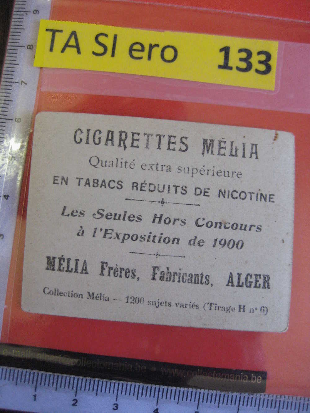 LISMA - MELIA  Erotic EROTIQUE Carte REAL PHOTO  Tobacco Card  ALGER Risqué Nue Naked JMC 4276 - Autres Marques