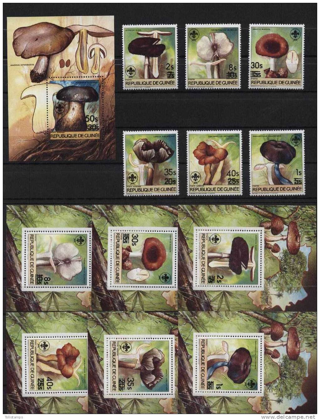 Guinea Mushrooms Mi#1066-91a Bl#175-81a MNH - Funghi