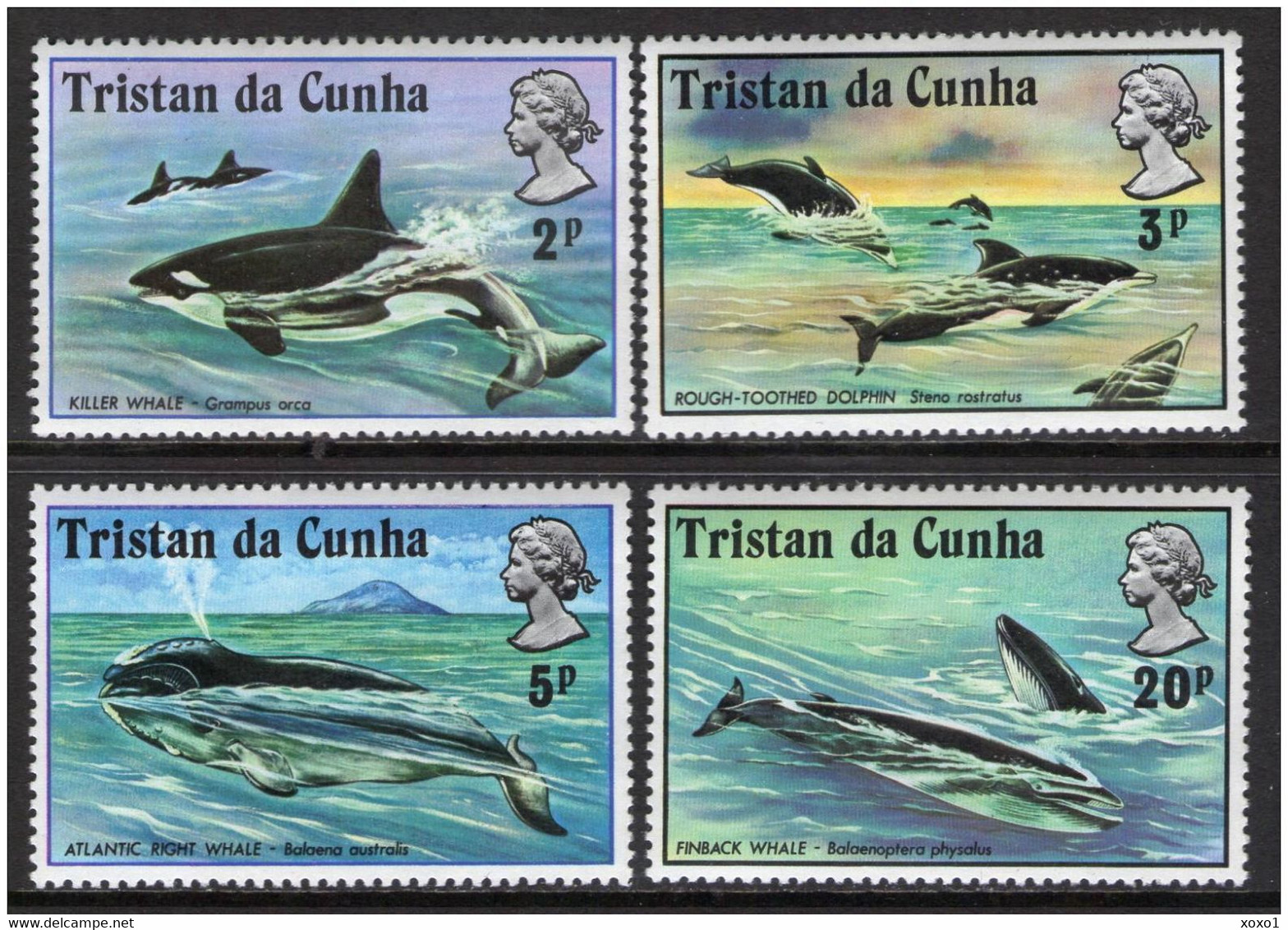 Tristan Da Cunha 1975 MiNr. 202 - 205 Wale  Whales  Marine Mammals 4v  MNH** 8.50 € - Tristan Da Cunha
