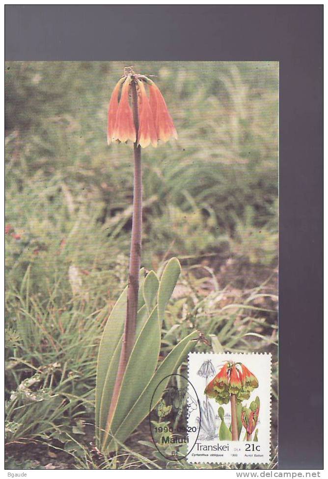 TRANSKEI  CARTE MAXIMUM NUM.YVERT 259 FLORE  FLEUR  INDIGENE - Transkei