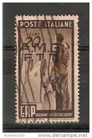 1949 TRIESTE A USATO ERP 20 LIRE - RR7163-2 - Oblitérés