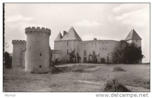Château De LA ROCHE-les-AIGUEPERSE - Aigueperse