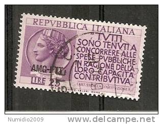 1954 TRIESTE A USATO REDDITO - RR7171 - Used