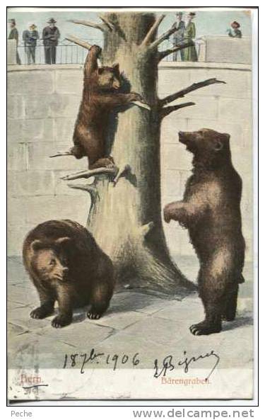 N°8750 -cpa Illustrateur -thème Ours-carte Suisse- - Bears