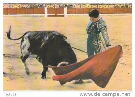 BULL - 37714 Corrida De Toros - Pase Natural - Stieren