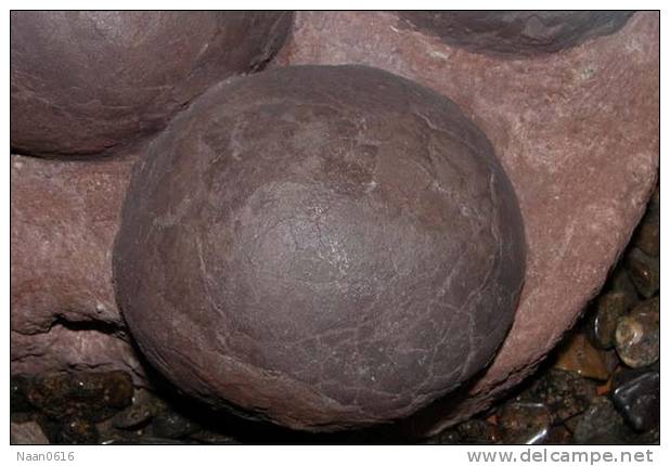Dinosaur Egg Fossil   , Postal Stationery -- Articles Postaux (A49-19) - Fossili