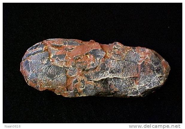 Dinosaur Egg Fossil   , Postal Stationery -- Articles Postaux (A49-30) - Fossielen