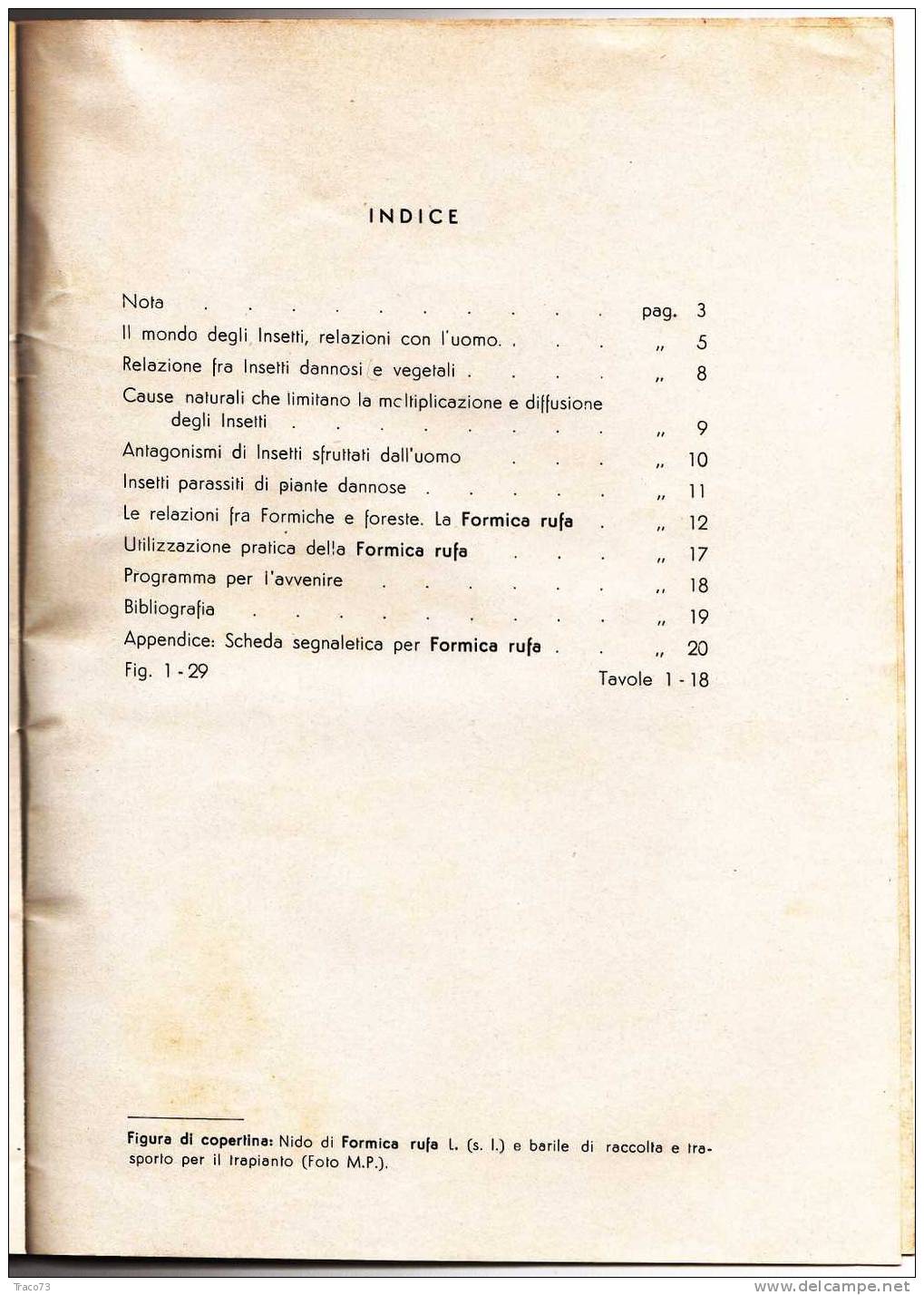 LA LOTTA BIOLOGICA CON FORMICA RUFA - Pavia 31 Dicembre 1955