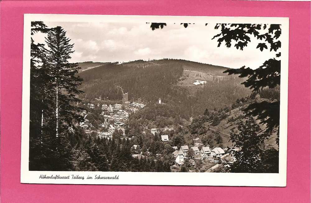 Allemagne - FORET NOIRE . SCHWARZWALD - Hohenluftkueset Teiberg Im  - Jahre Cramers Kunstanstalt KG Dortmund. - Titisee-Neustadt