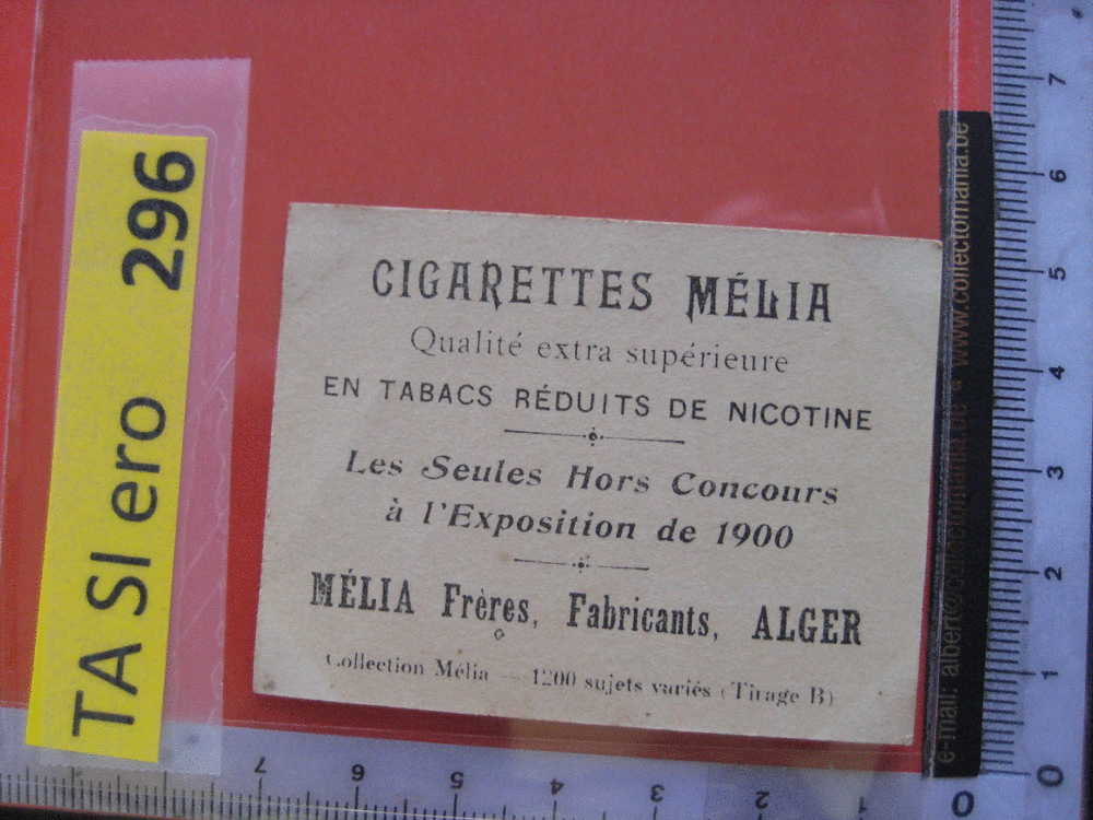 ELISA - MELIA -   Erotic EROTIQUE Carte REAL PHOTO  Tobacco Card  ALGER Risqué Nue Naked - Otras Marcas