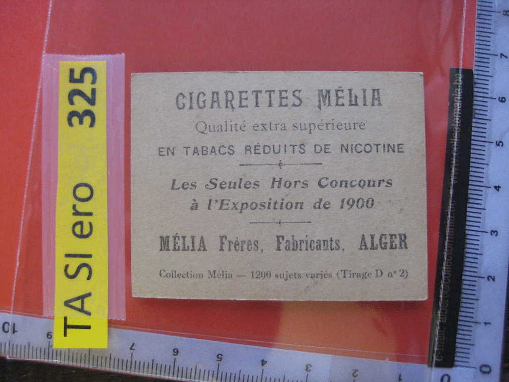 Soeurs JAR  -  MELIA  -   Erotic EROTIQUE Carte REAL PHOTO  Tobacco Card  ALGER Risqué Nue Naked  JMC 4796 - Autres Marques