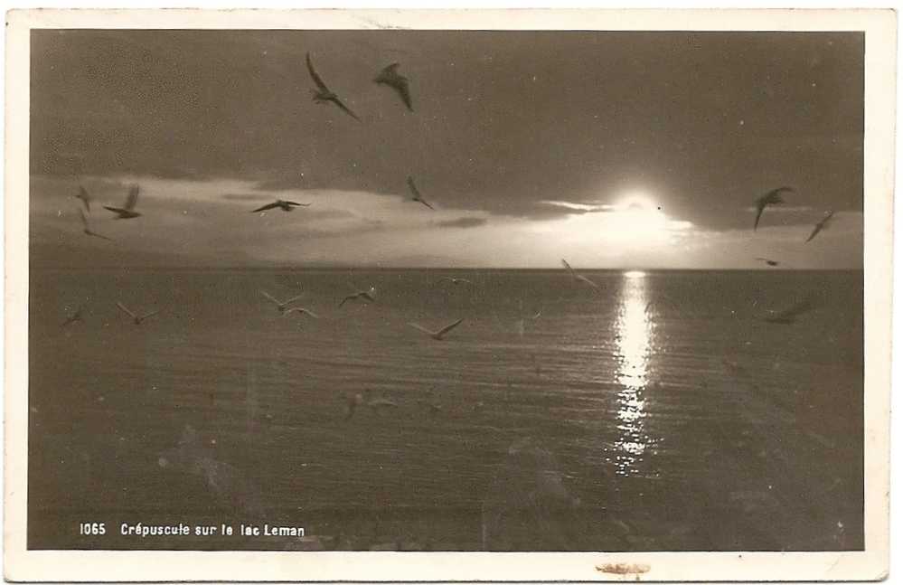CH - Crépuscule Sur Le Lac Léman -  éd. "Star" N° 1065 (gelaufen / Circulée 1947) - Laufen-Uhwiesen 