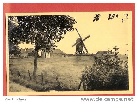 BELGIQUE COQ SUR MER LE MOULIN BELLE CARTE - De Haan