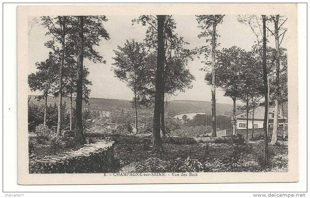 Champagne-sur-Seine (77) : Zone De Coupe De Bois Dans La Forêt Et Villa Env 1930. - Champagne Sur Seine