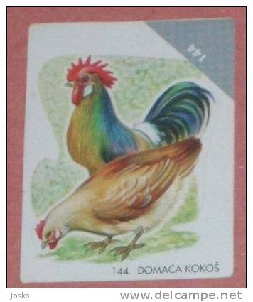 HEN ( Croatia Sticker ) Poule Gallina Huhn Henne Anneer Bird Oiseau Ave Pajaro Vogel Uccello Birds Croatie Autocollant - Other & Unclassified