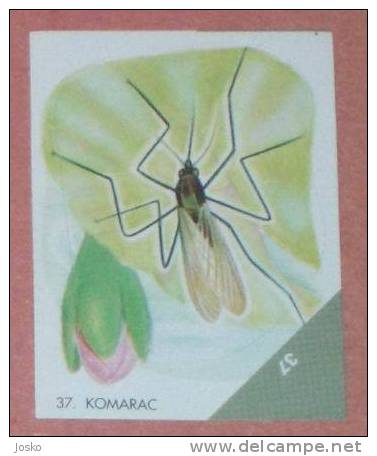 MOSQUITO ( Croatia Sticker ) Moustiques Insect Insectes Insects Insectos Insekt Insetto Inseto *  Croatie Autocollant - Other & Unclassified