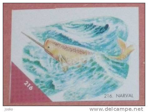 NARWHAL ( Croatia Sticker ) Narval Narvalo Undesea Underwater Sea Marine Life Fish Poisson Croatie Autocollant - Altri & Non Classificati