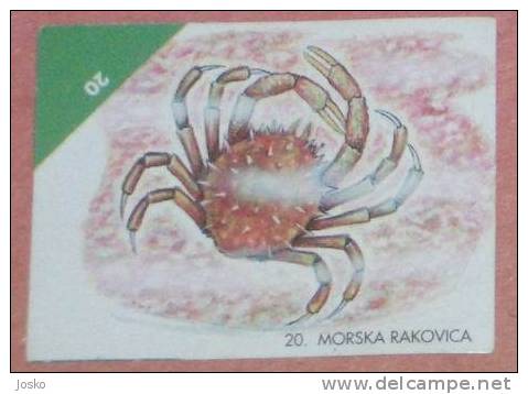 SEA CRAB ( Croatia Sticker ) Crabes De Mer Crabe Undesea Underwater Sea Marine Life Fish Poisson Croatie Autocollant - Other & Unclassified