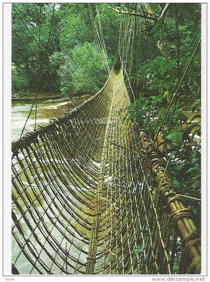 Gabon -   ( La Forêt) Pont De Lianes De Poubara TP A 26 - Gabon