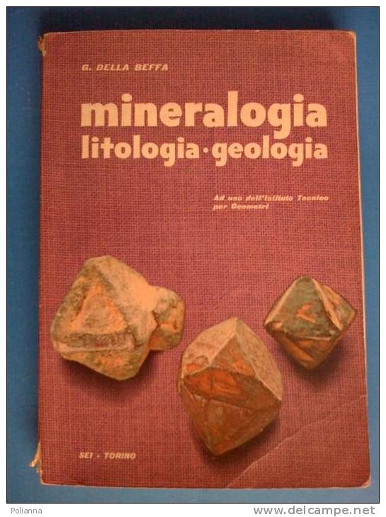 PB/35 Della Beffa MINERALOGIA LITOLOGIA GEOLOGIA SEI 1961/ MINERALI/CHIMICA - Medicina, Biologia, Chimica