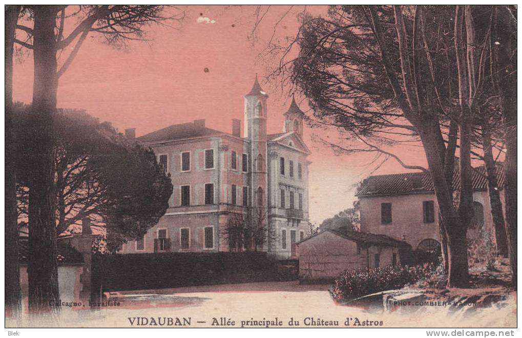 83.vidauban . Allée Principale  Du Chateau D ´ Astros . - Vidauban