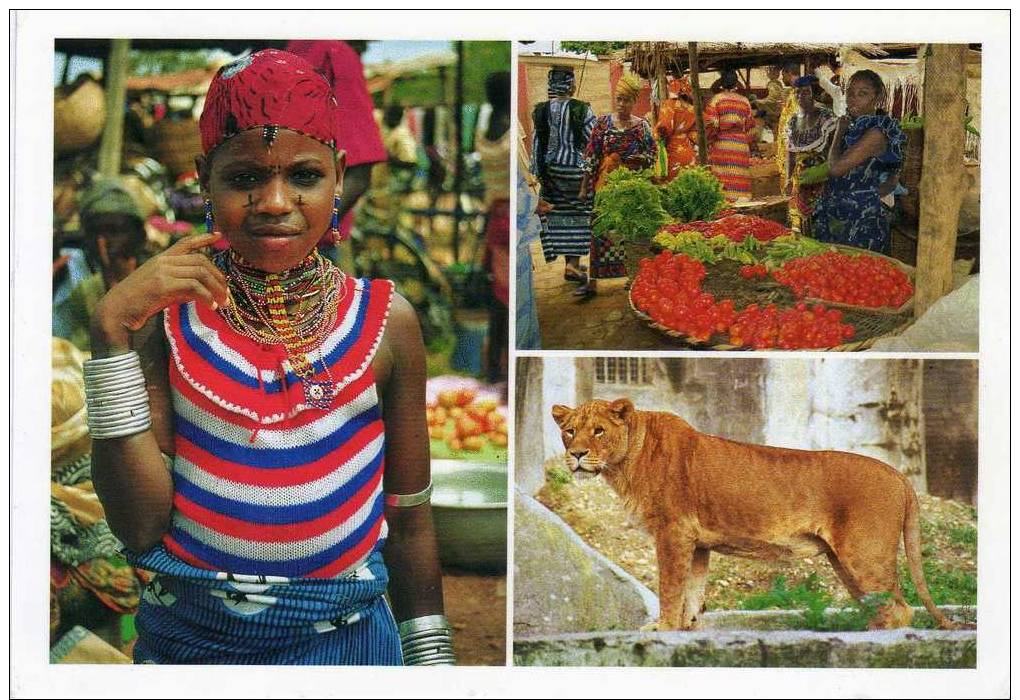 Visage Du Nord Bénin, Circulée, Envoyée De Cotonou Le 20 Septembre 2002. - Benin