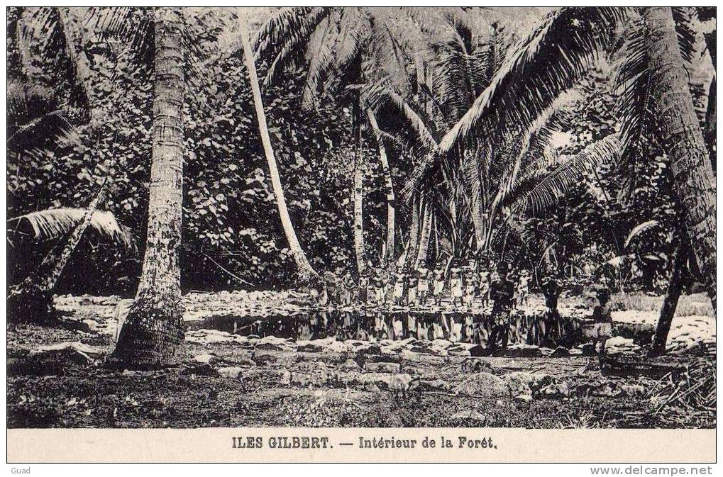 ILES GILBERT - INTERIEUR DE LA FORET - Kiribati