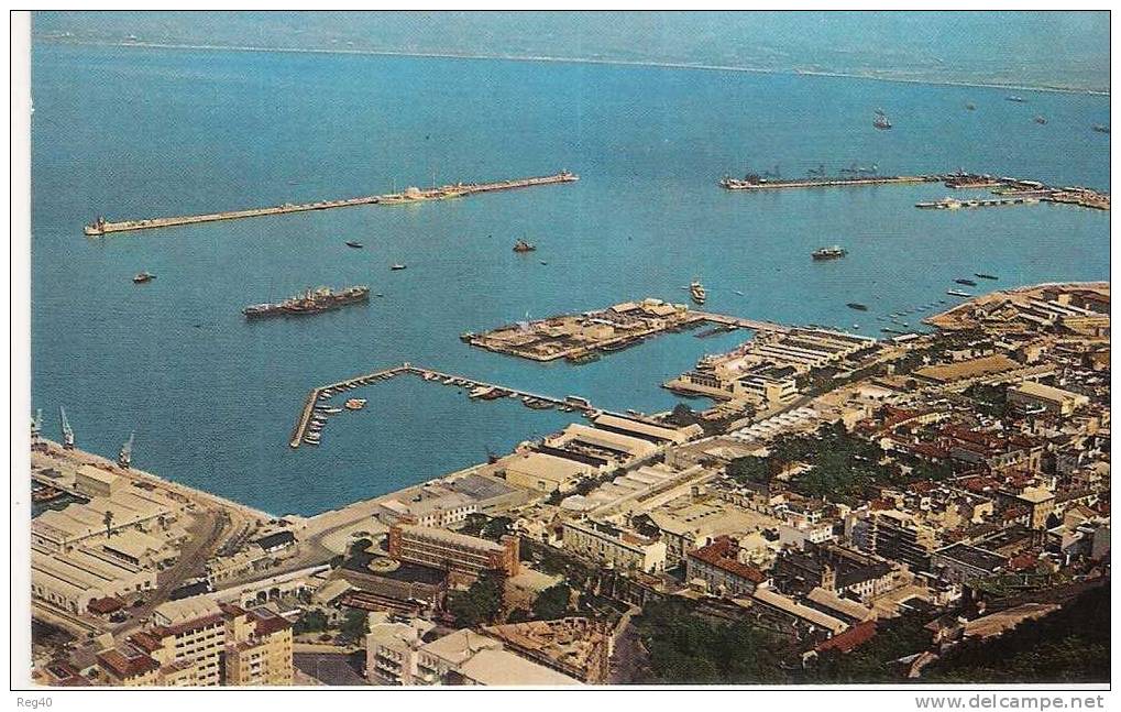 GIBRALTAR   - View Of Town And Harbour From Upper Rock - Gibraltar