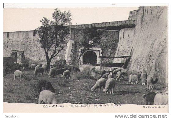 ST TROPEZ 125 COTE D'AZUR ENTREE DE LA CITADELLE (MOUTONS BEAU PLAN ANIME BROUTANT) - Saint-Tropez