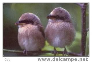 # ROMANIA 34 Birds 04.00 -oiseaux,birds- Tres Bon Etat - Rumania