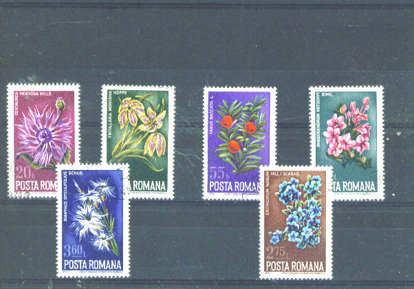 RUMANIA - 1974 Wild Flowers FU - Gebruikt