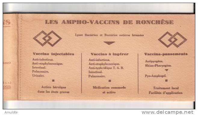 Carnet De 7 Buvards Des AMPHO-VACCINS  Ronchese NICE - Medisch En Tandheelkundig Materiaal