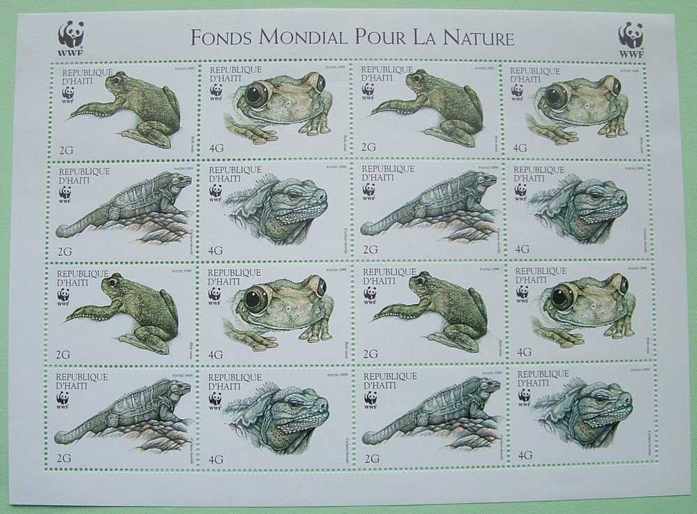 Haiti 1999 WWF Reptiles And Amphibian Conservation Lizard Iguana Frog - Haití