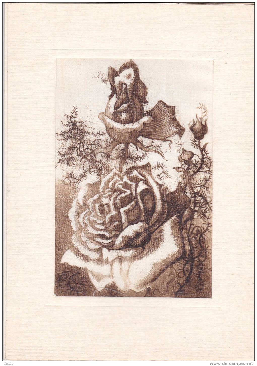 ROSES / HONGRIE Telegramme De Luxe Illustre Hungary - Lettres & Documents