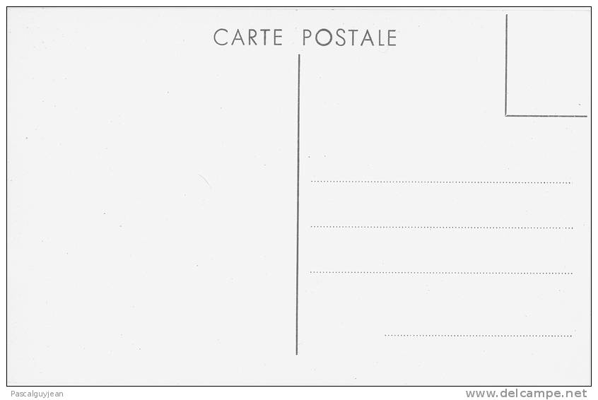 15 CARTES POSTALES RECTO VIERGE - Unclassified