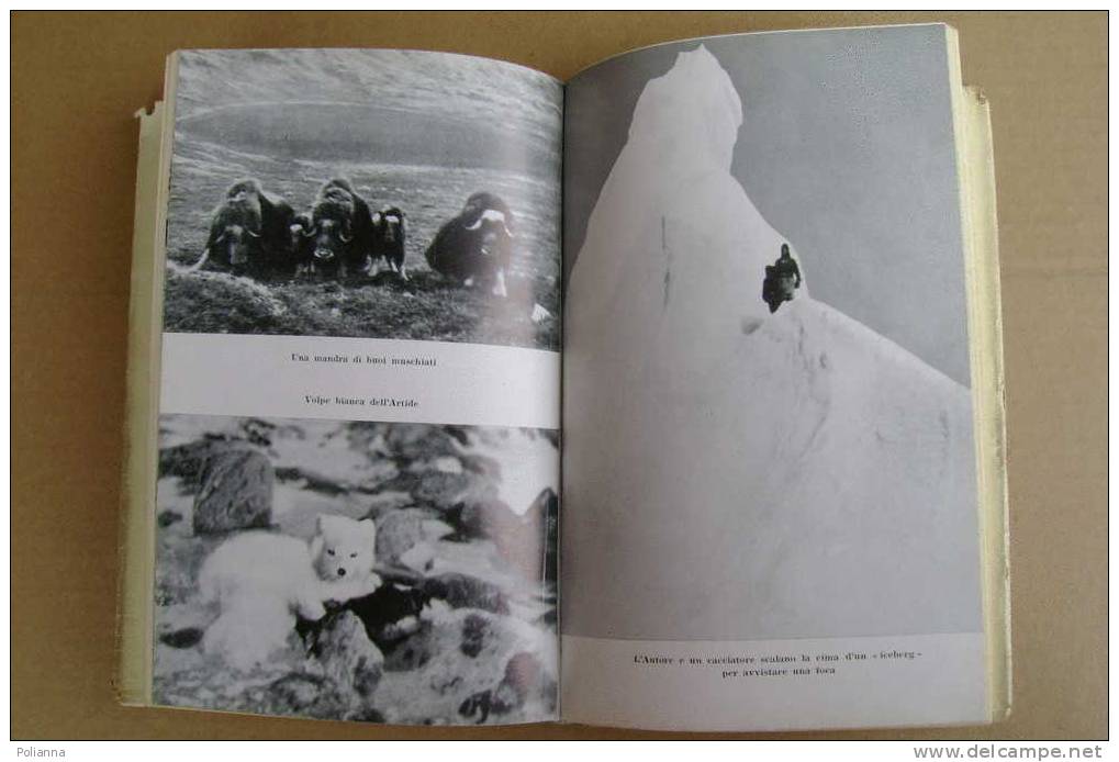 PDD/69 Aage Gilberg UN MEDICO TRA GLI ESCHIMESI Bompiani I^ Ed. 1951/nave "gustav Holm"/Thule/Capo Melville - Tourisme, Voyages